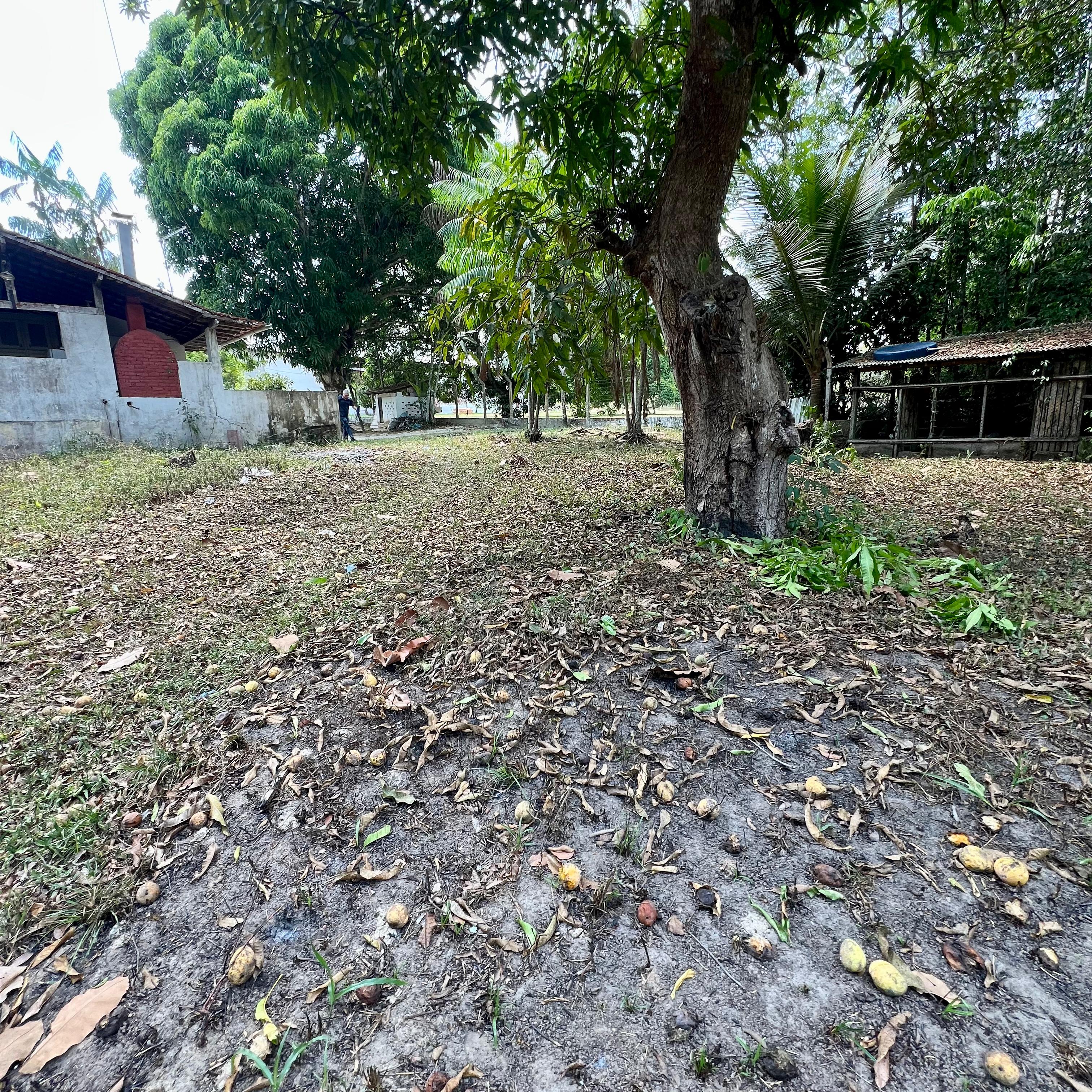 CHACARA NA AGROVILA SÃO RAIMUNDO